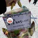용인대 부부 해람 태권도장 이미지