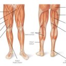 운동J GYM 이미지