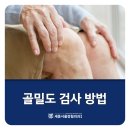 골보이세종