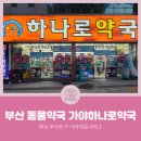 가야하나로약국 이미지