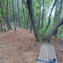 183 | 183권 헤마와따숫따법문 독후기