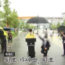 드림의전