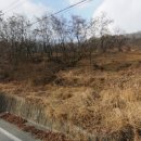 당목리목장 네이버블로그
