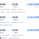 인천공항 - 미국 뉴욕 7월12일 항공권 검색. 가격ㅎㄷㄷ 이미지