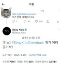 맨션스키즈