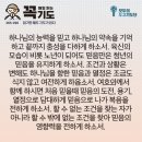 콩깍지