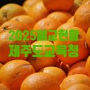 고산초산양분교장 | 제주도교육청 폐교 현황 (2025. 3. 1 기준) 입니다.