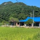 한시랑 스테이 네이버블로그