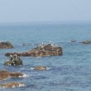 아름다운노인대학 이미지