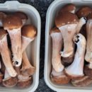 성산농장 이미지