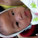 강귤