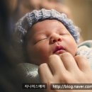 지니코퍼레이션
