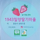 딸기마을 이미지