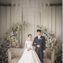 제주싸이언스 | W11. 센텀 사이언스파크 더스카이홀 본식 후기