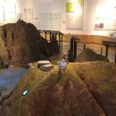 독도체험관 이미지