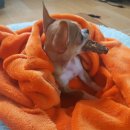 뚜비농장 이미지