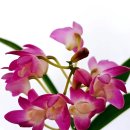 그대안의 풍경 이미지