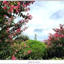 칠곡 왜관성당 이미지