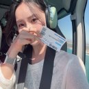 코아루오션A 해안도로 | 멜버른 헬기투어 그레이트오션로드 가격 비용 자리꿀팁 운영시간 주의할점 후기