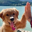 S동물의료센터 이미지