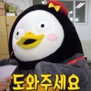 보정당 - 서대문구 | 보정당