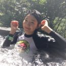 이에스지오