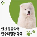 연수동물약국 이미지