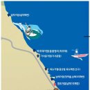 🌊 짜릿한 서핑과 시원한 물놀이의 만남, 양양 남애해변 완벽 정복하기!