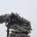 행정사태성사무소 이미지