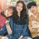 포레스트813 이미지