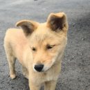 내집앞슈퍼 이미지