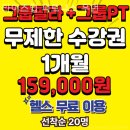 라이즈업 피트니스 우먼 | 문정동 헬스장 라이즈업 피트니스 우먼 1:1 트레이닝 가능한 곳