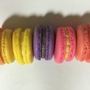 쉬크레마카롱전문점 이미지