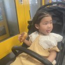 우범농장 | 두돌아기랑 단둘이 시드니여행 6 | 패더데일 동물원 가는법, 패더데일 오픈런 안한 후기