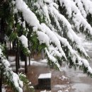 뚝섬한강공원-11 이미지