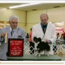 챔피언켄넬 이미지