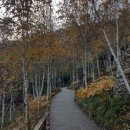 소문난 멸치국수 이미지