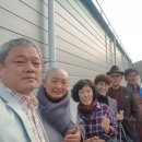 농업회사법인향기농원(주) 태양광발전소 | sns재능기부스터디 순천향농원 송화버섯재배사 견학 담양대표님들함께