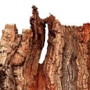 모래하늘 이미지