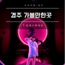 신성커머스 | 플래시백 계림 경주 여행 코스 추천 아이와 가볼만한곳 요금 할인 비교