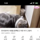 스푼필라프앤파스타 이미지