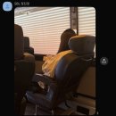 서현호스텔 | 3월의 부산