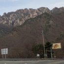 갑천우안도로 이미지