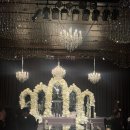 리예네 커피 | 반얀트리 결혼식 식대, 크릭스탈 볼룸 결혼식 가격 하객 후기