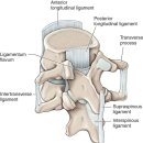가다정한의원 이미지