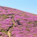 소백산 이미지