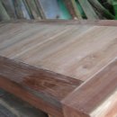 참죽나무 이미지