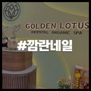 로터스(주) | 깜란 네일샵 공항 픽업 시내 골든로터스 키즈네일 추천