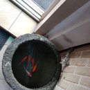 태광 행정사 이미지