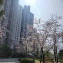 비전에듀포레푸르지오 301동 앞 | 평택용죽에듀포레푸르지오 실거주장단점